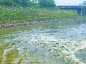 清苑污水清运多少钱